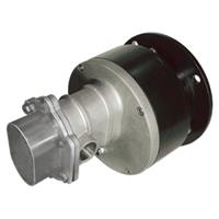 ECLIPSE® 25 Metallic External Gear Pump